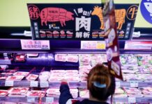 España bloquea las exportaciones de carne de cerdo tras la peste porcina