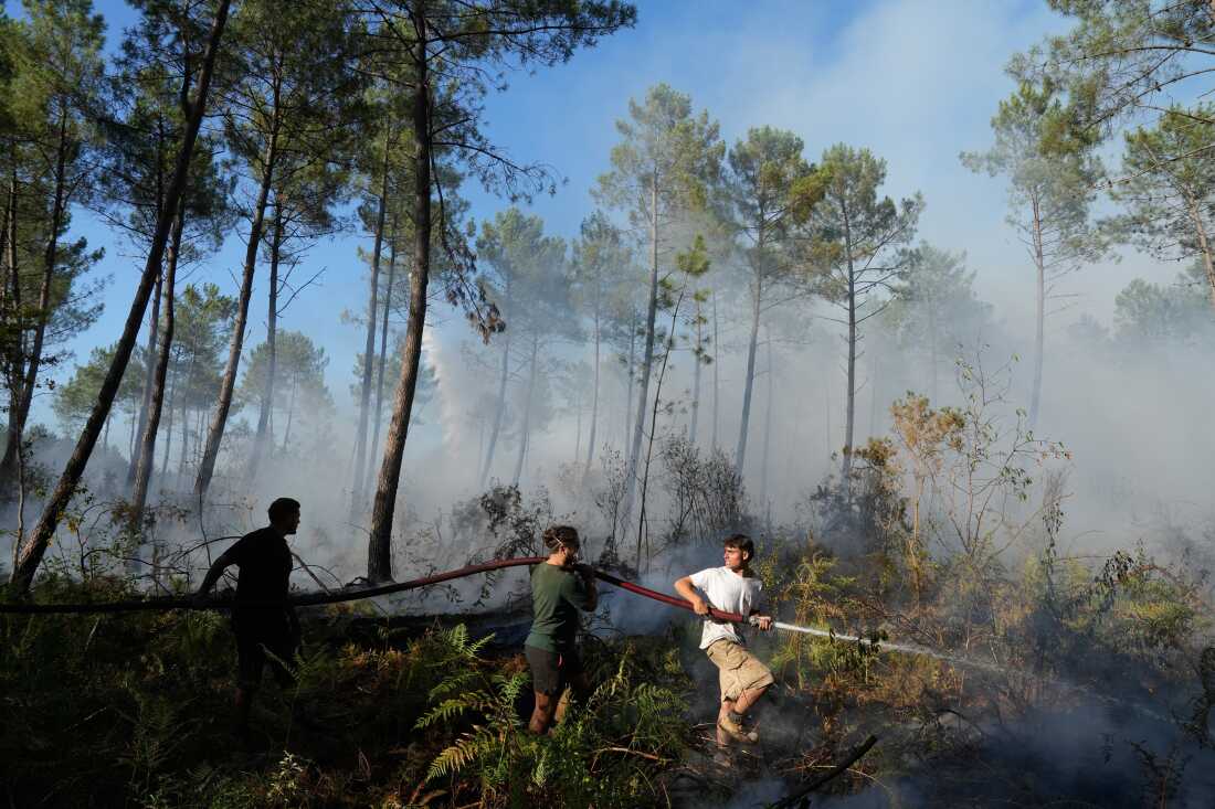 Un grupo sostiene una manguera contra incendios e intenta sofocar un incendio cerca de Lacanau, mientras los incendios forestales arrasan las afueras de Burdeos, Francia, el lunes 27 de julio de 2026.