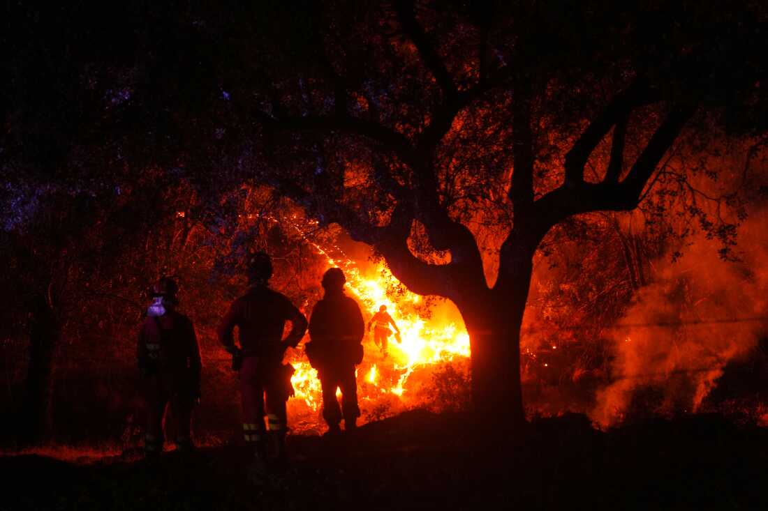 Los bomberos utilizan quemas controladas para detener un incendio forestal que continúa propagándose cerca de Cebreros, provincia de Ávila, España, el martes 28 de julio de 2026.